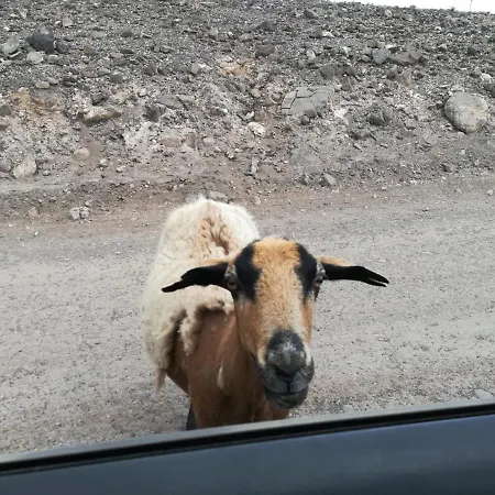 アパート Vivienda Gorrion モロ・デル・ハブレ