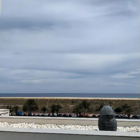 Vivienda Gorrion * モロ・デル・ハブレ