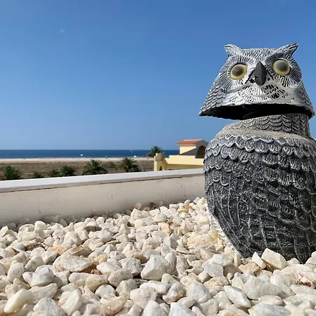 Vivienda Gorrion شقة