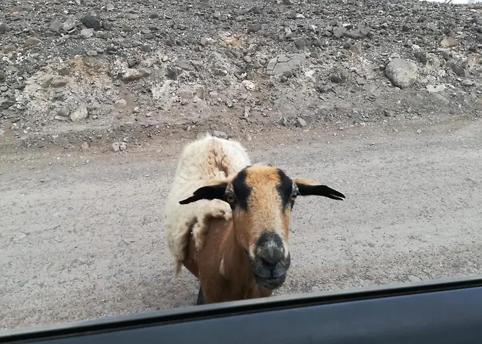 Daire Vivienda Gorrion Morro Jable (Fuerteventura)