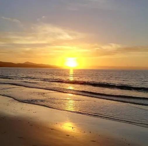 Daire Vivienda Gorrion